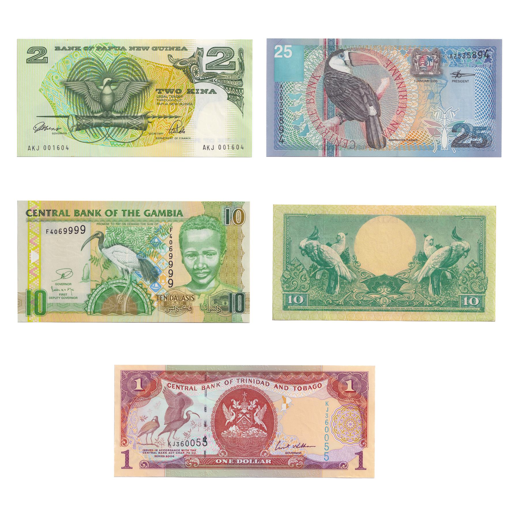 5 Banknote Set | Birds | Cockatoos | African Sacred Ibis | Bird of Paradise | Toucan