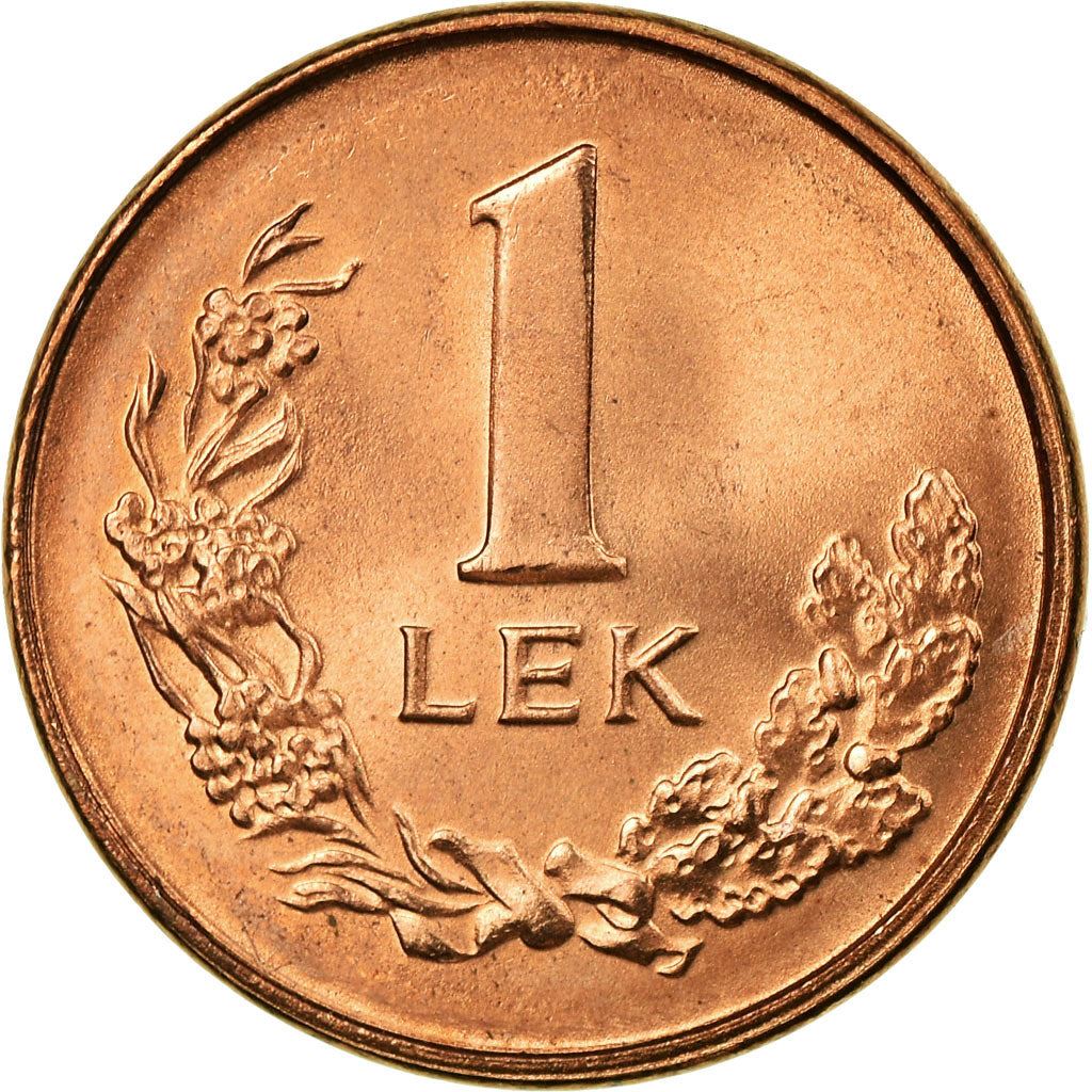 Albanian 1 Lek Coin | Dalmatian Pelican | KM75 | 1996