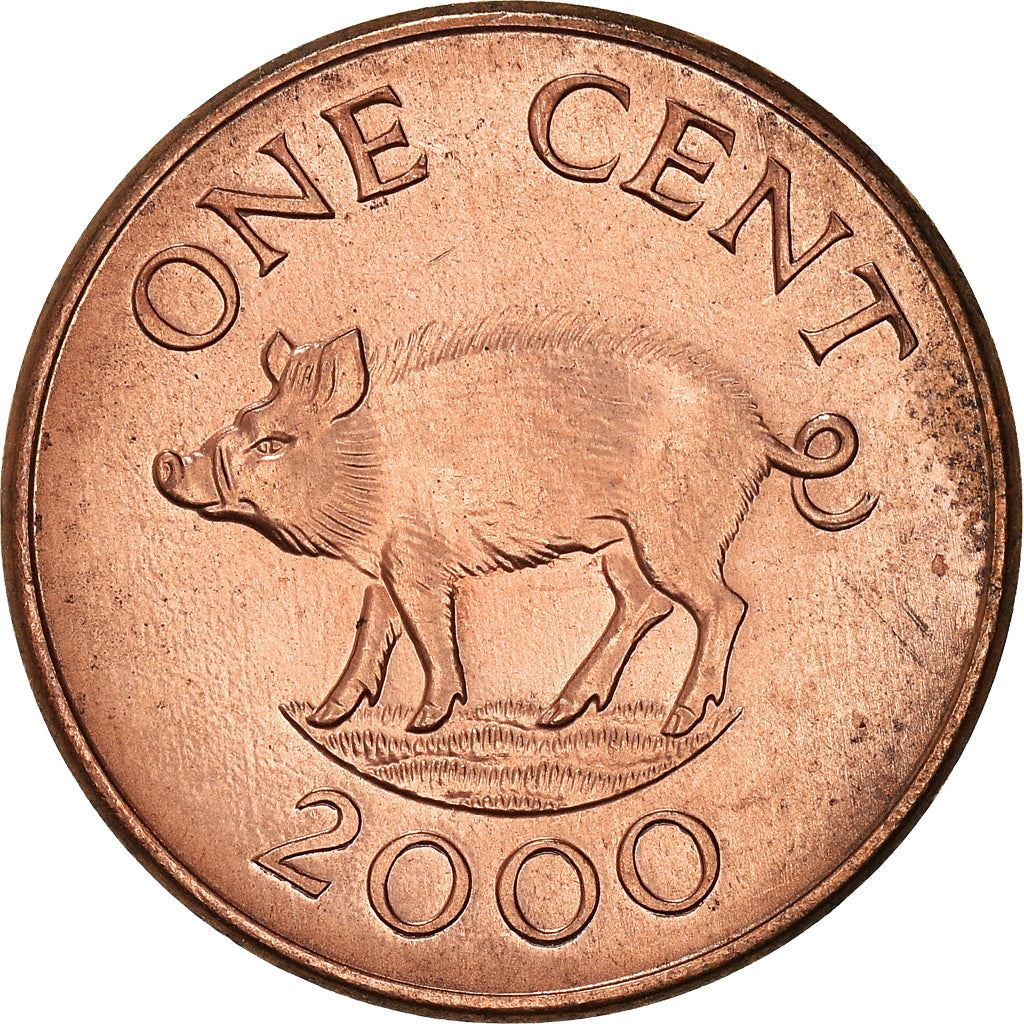 Bermuda | 1 Cent Coin | Queen Elizabeth II | Wild Boar | KM107a | 2007 - 2009