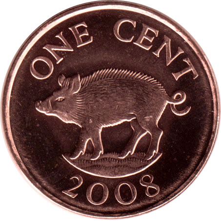 Bermuda | 1 Cent Coin | Queen Elizabeth II | Wild Boar | KM107a | 2007 - 2009