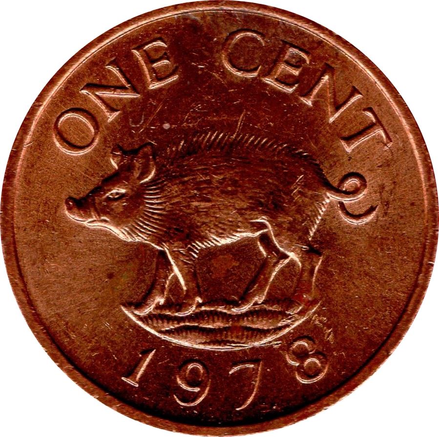 Bermuda | 1 Cent Coin | Queen Elizabeth II | Wild Boar | KM15 | 1970 - 1985