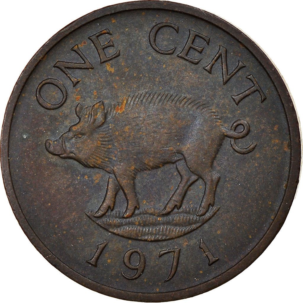 Bermuda | 1 Cent Coin | Queen Elizabeth II | Wild Boar | KM15 | 1970 - 1985