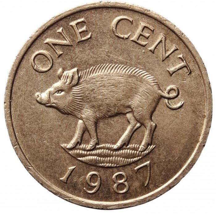 Bermuda | 1 Cent Coin | Queen Elizabeth II | Wild Boar | KM44 | 1986 - 1990