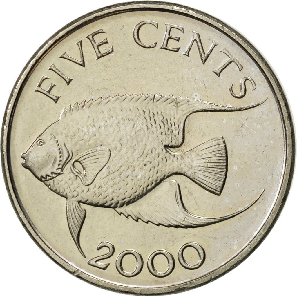 Bermuda | 5 Cents Coin | Queen Elizabeth II | Angelfish | KM108 | 1999 - 2019