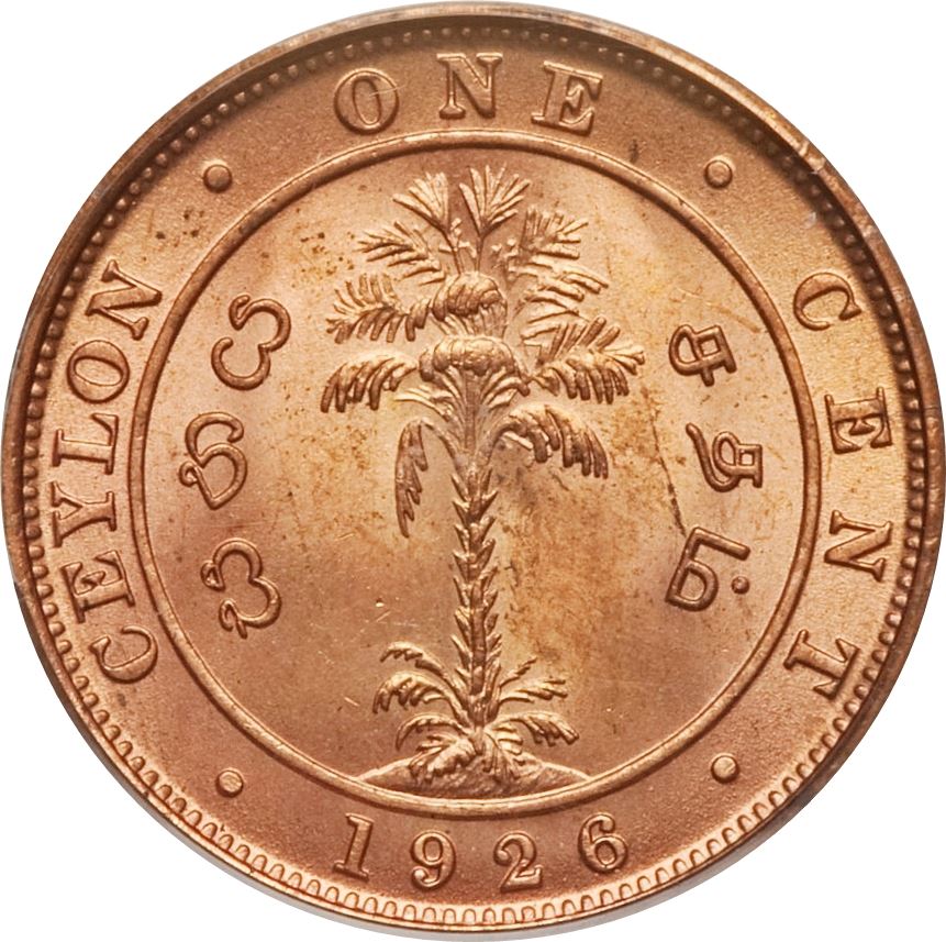 Ceylon | 1 Cent Coin | King George V | Palm Tree | KM107 | 1912 - 1929