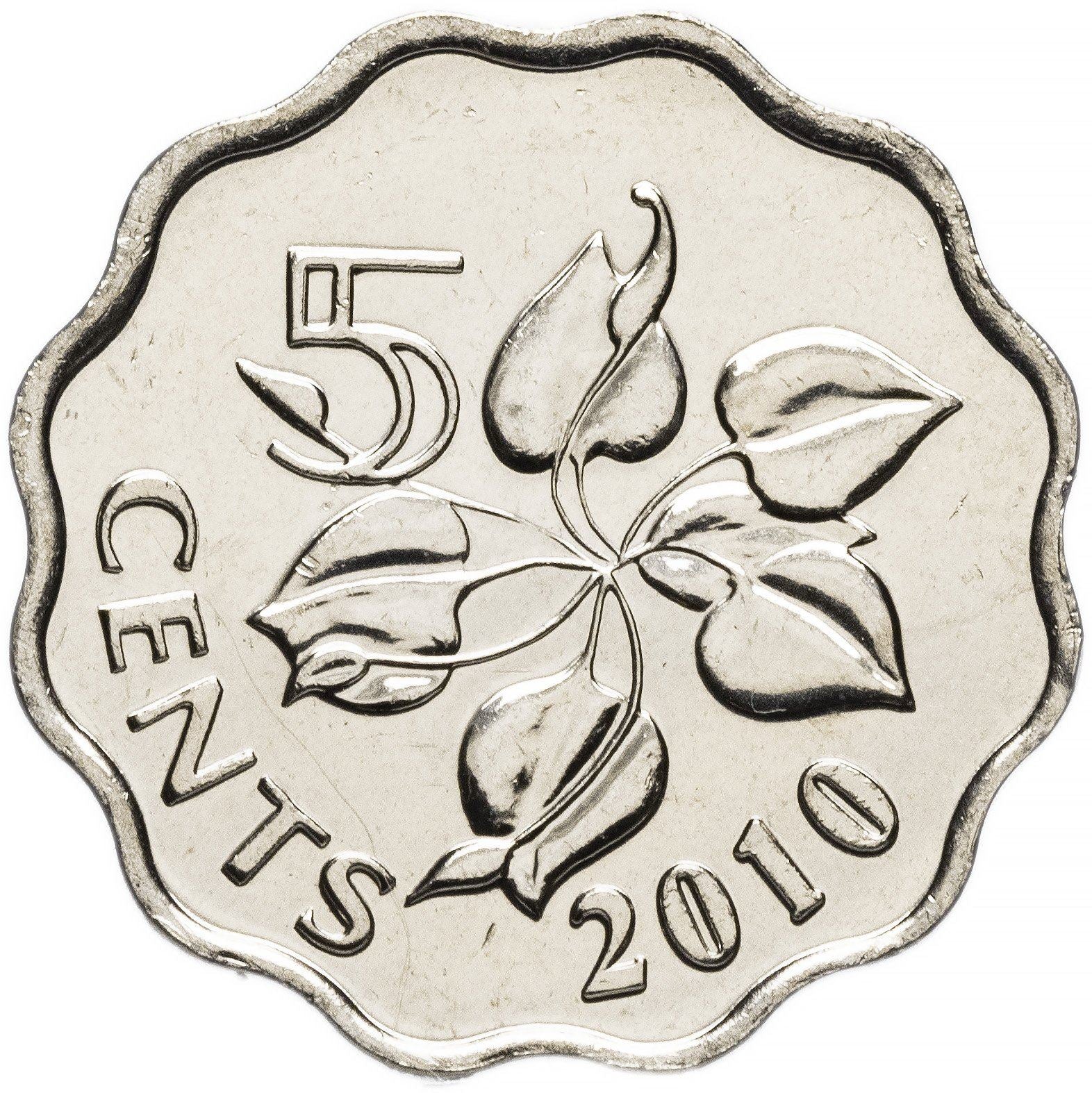 Eswatini | 5 Cents Coin | King Mswati III | Arum Lily | KM48 | 1995 - 2010