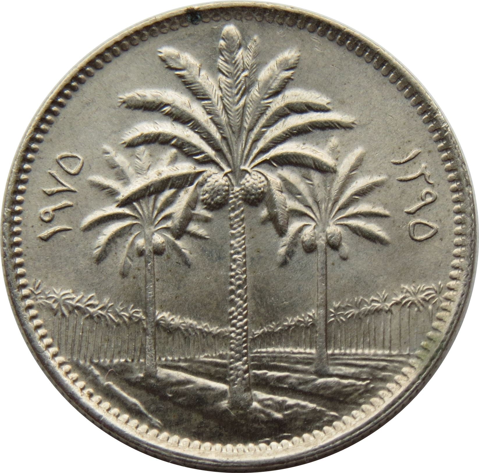 Iraq 25 Fils Coin | Palm Tree | KM127 | 1969 - 1981