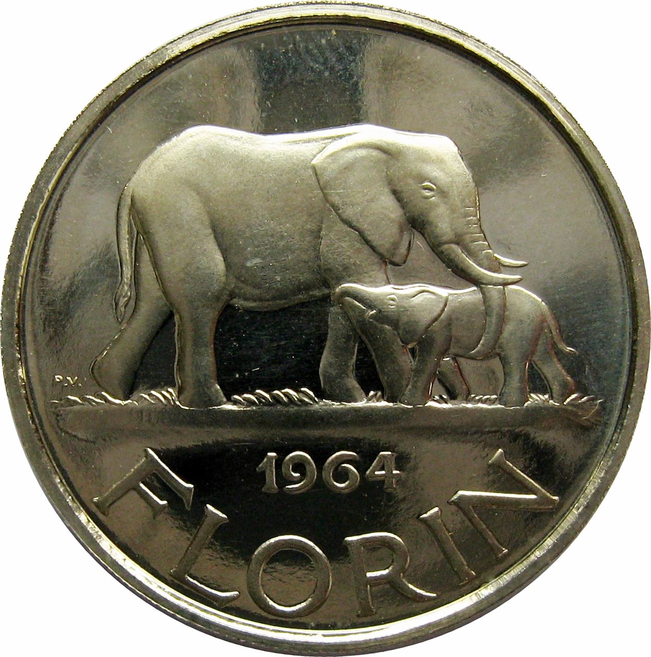 Malawi Coin Malawian 1 Florin Coin | President Hastings Banda | Elephant | KM3 | 1964