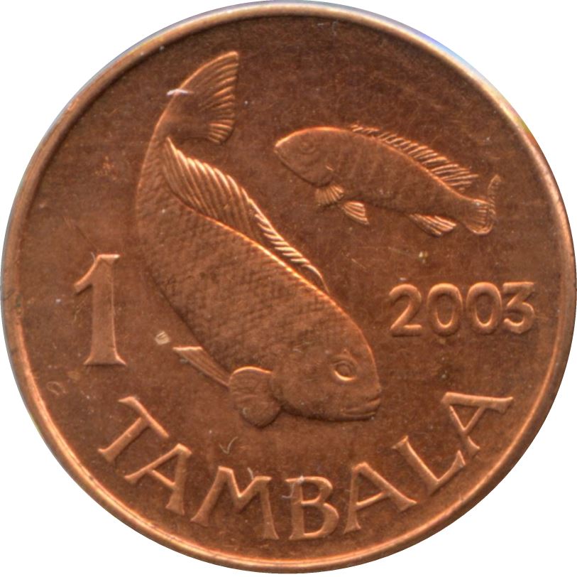 Malawi Coin Malawian 1 Tambala Coin | Talapia Fish | KM33a | 2003