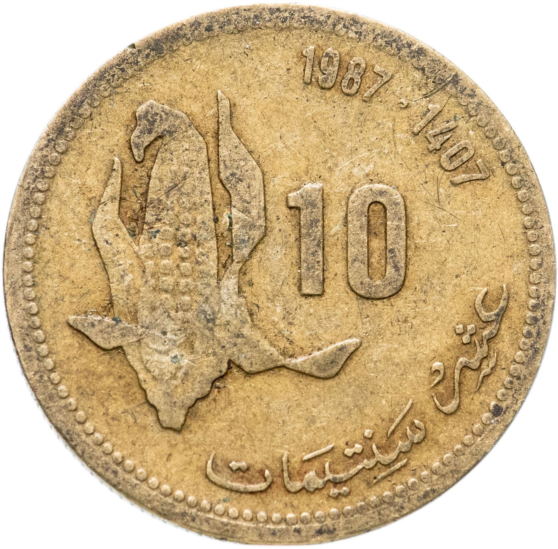 Morocco 10 Santimat / Centimes - Hassan II FAO Coin Y84 1987