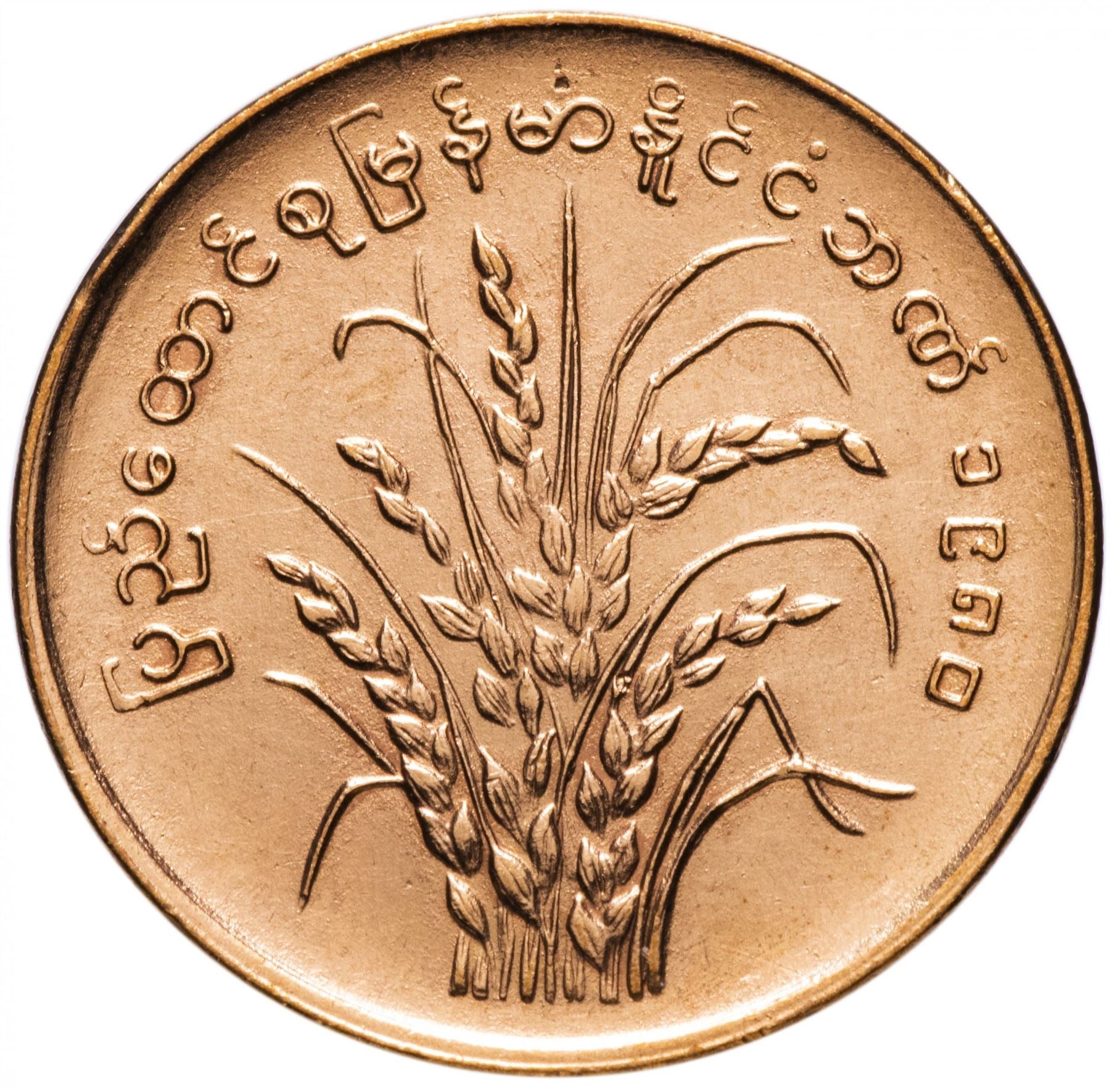 Myanmar | 25 Pyas Coin | FAO | Rice | KM48 | 1980