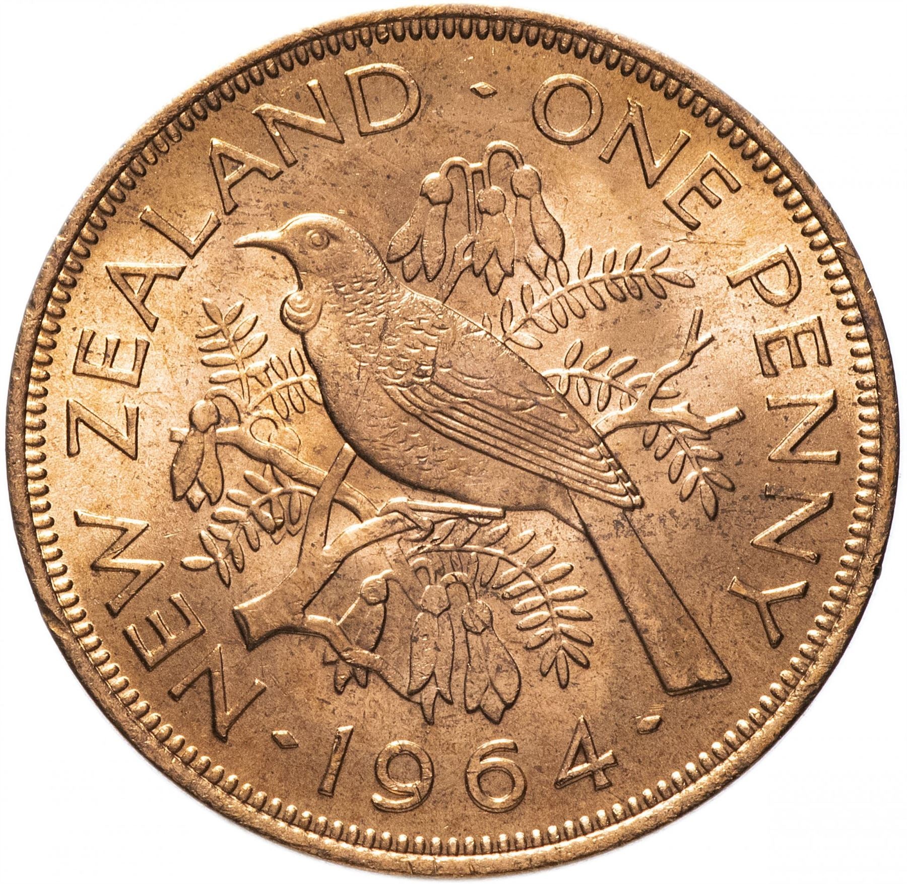 New Zealander 1 Penny Coin| Queen Elizabeth II | Tui Bird | KM24 | 1953 - 1965