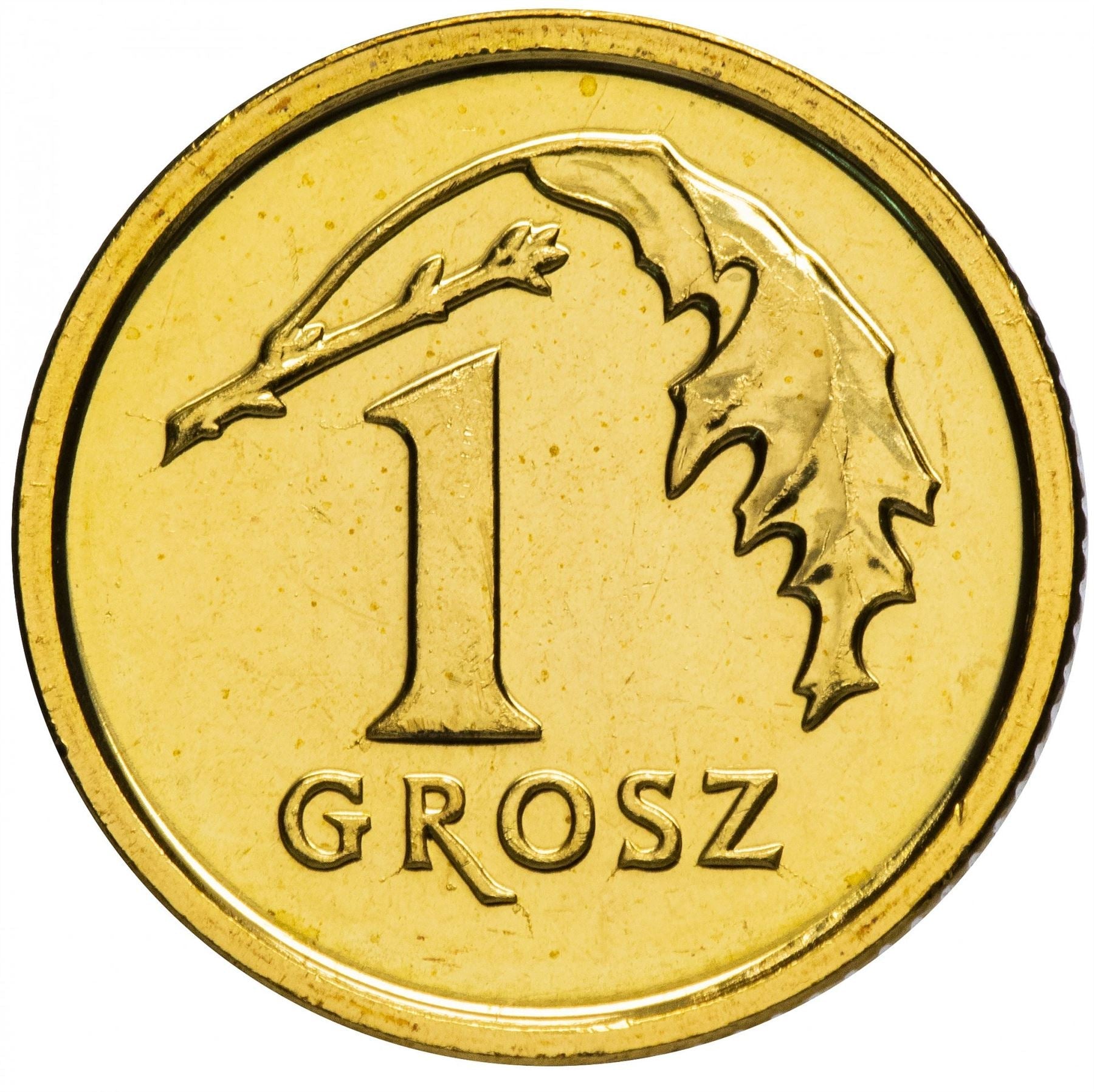 Poland | 1 Grosz magnetic | Oak Leaf | Eagle | KM923 | 2013 - 2021