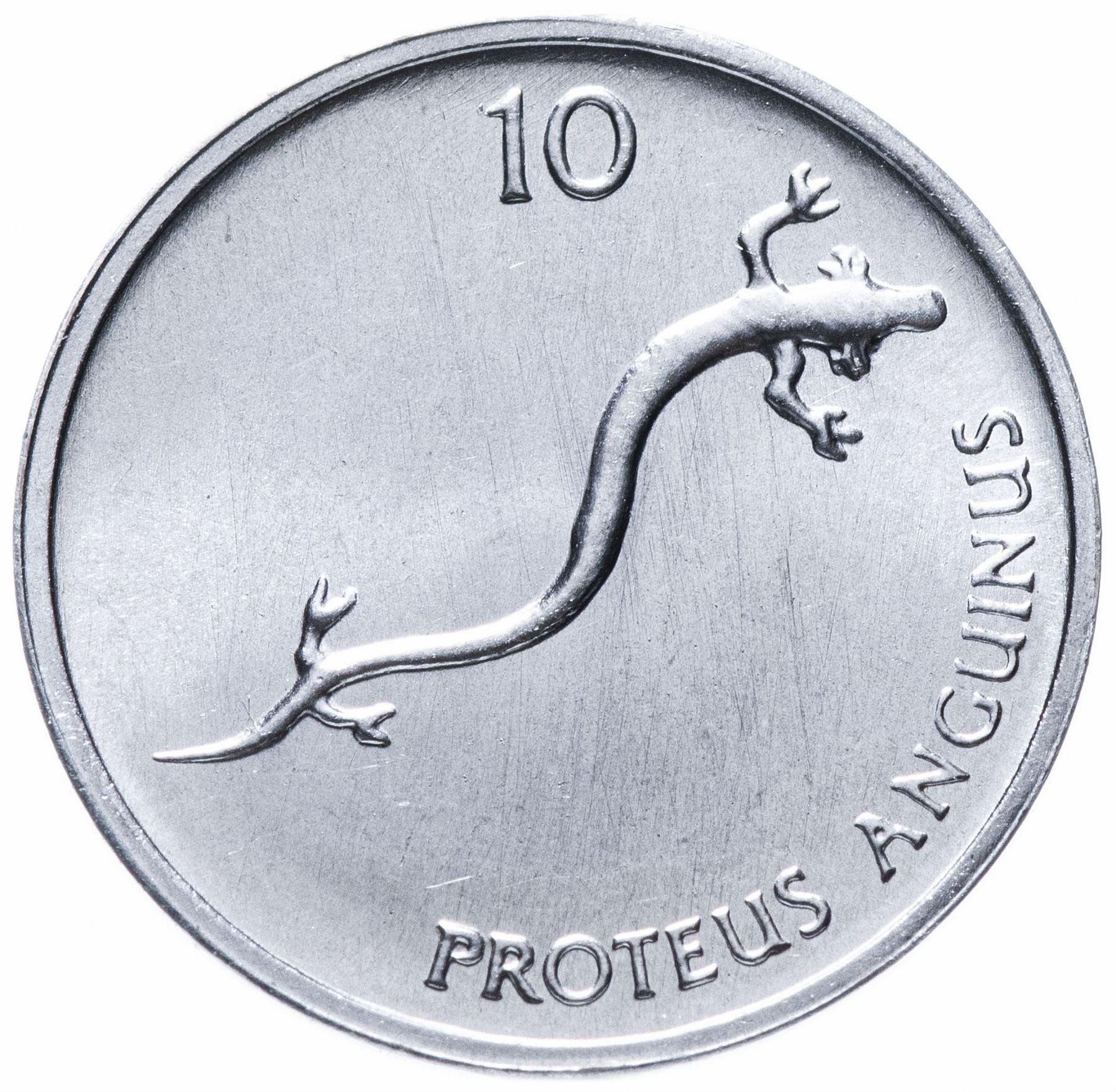 Slovenia 10 Stotinov Coin | Salamander | Olm | KM7 | 1992 - 2006