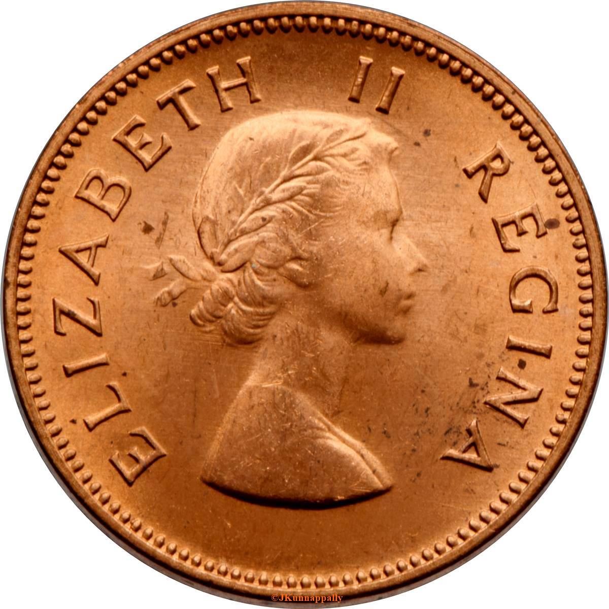 South Africa 1/2 Penny Coin | Elizabeth II 1st portrait | KM45 | 1953 - 1960