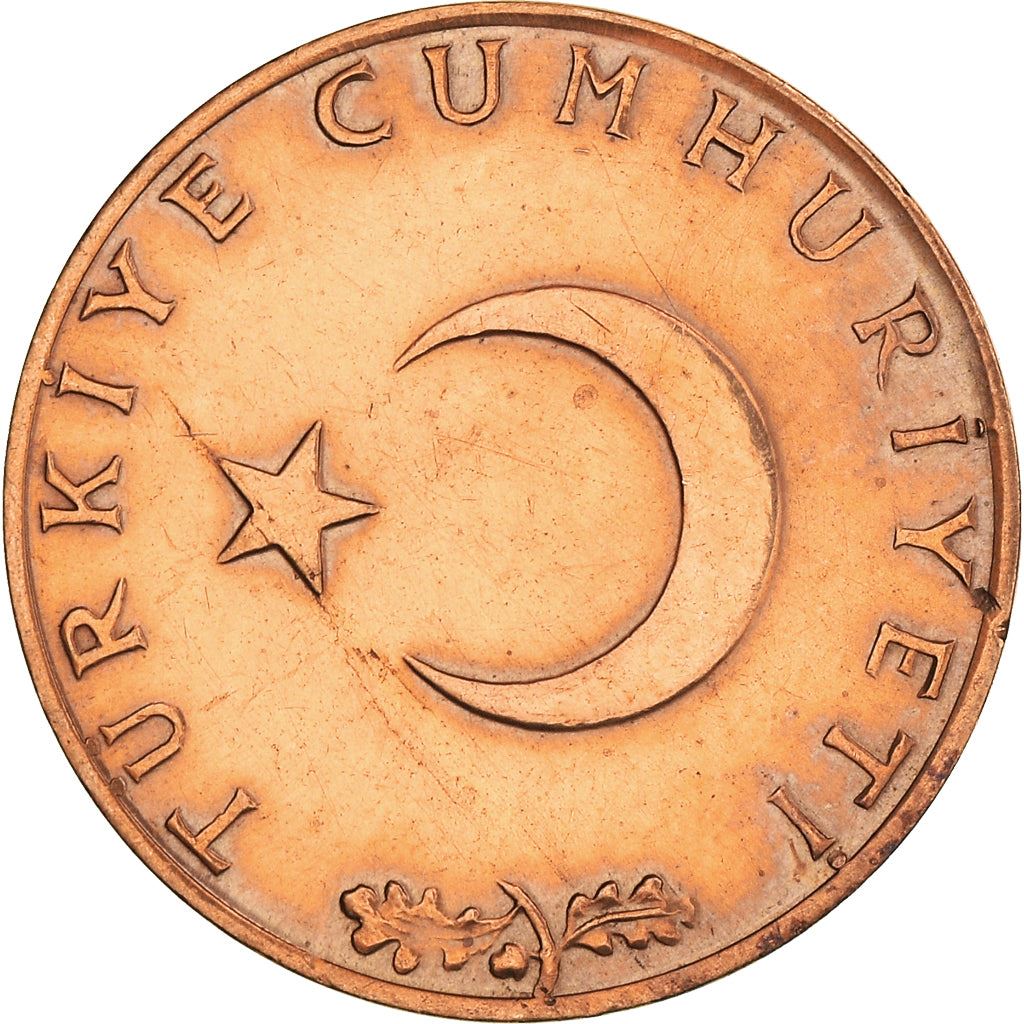 Turkey | 10 Kurus Coin | KM891.3 | 1974