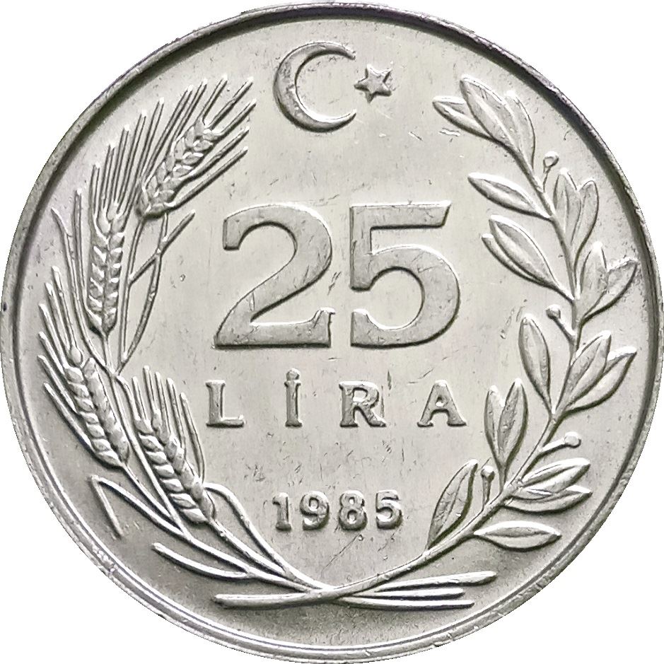 Turkey Coin Turkish 25 Lira | President Mustafa Kemal Ataturk | Moon Star | KM975 | 1985 - 1989