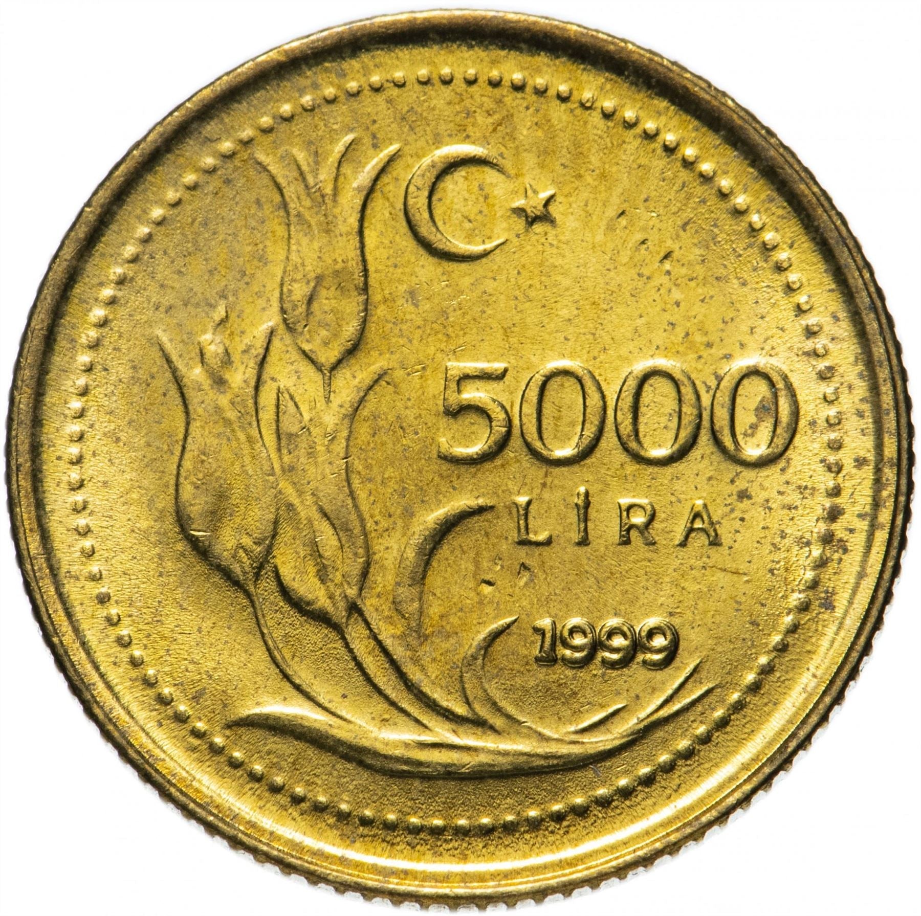 Turkey Coin Turkish 5000 Lira | President Mustafa Kemal Ataturk | Tulip | KM1029.1 | 1995 - 2000