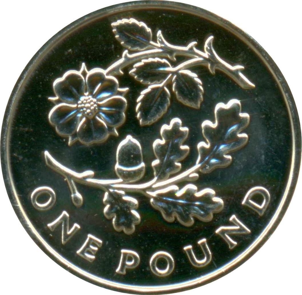 United Kingdom Coin 1 Pound | Elizabeth II 4th portrait | Oak & Rose | 2013