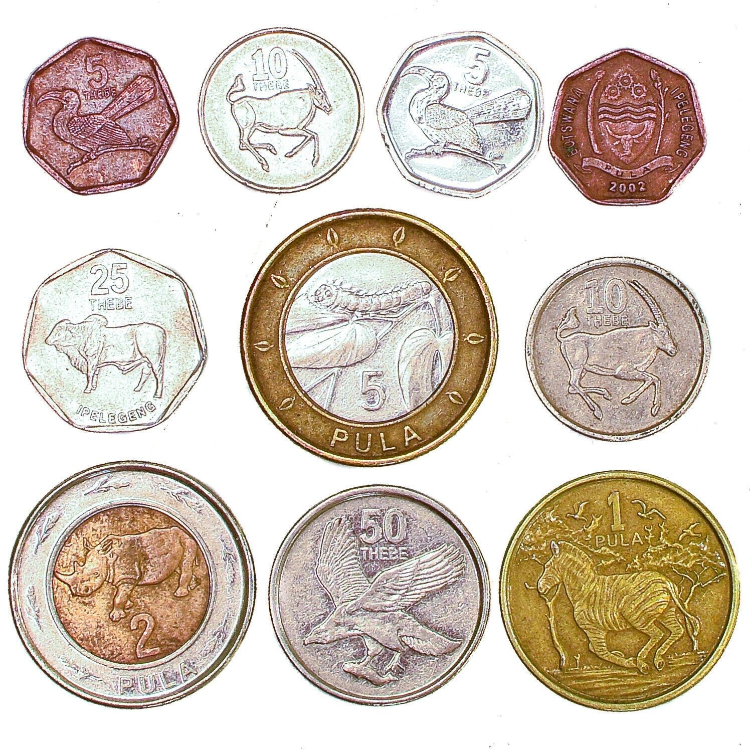 Botswana 10 Mixed Coins | Thebe | Pula | Exotic African Animals | 1976 - 2016