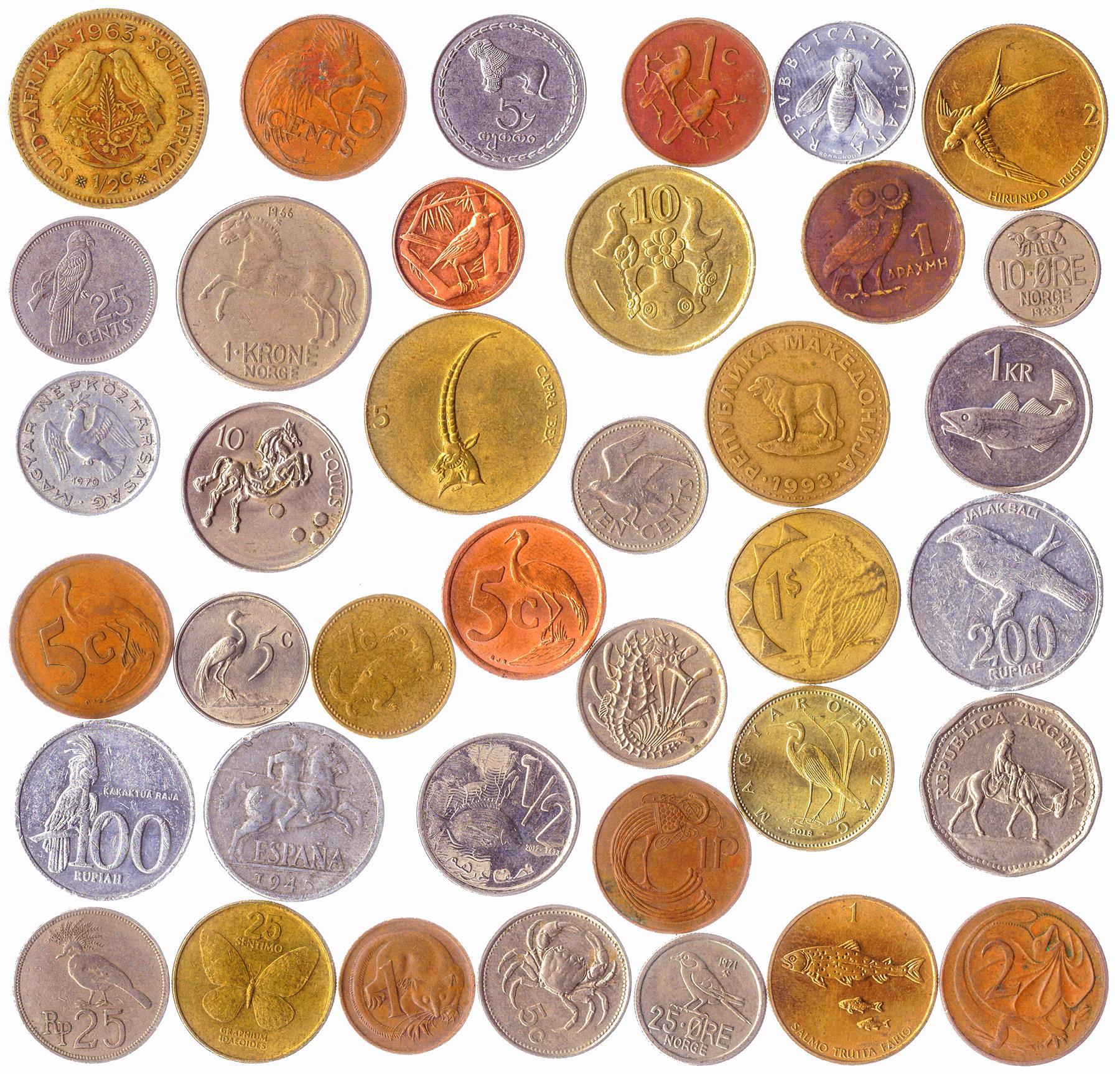 Coins with Animals | Birds | Beetles | Fishes | Crustaceans | Insects | Molluscs | Arachnids | Reptiles | Mammals